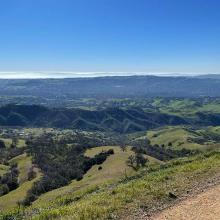 walnut-creek-hills